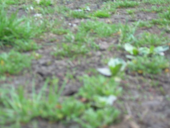 DSCN3578.jpg